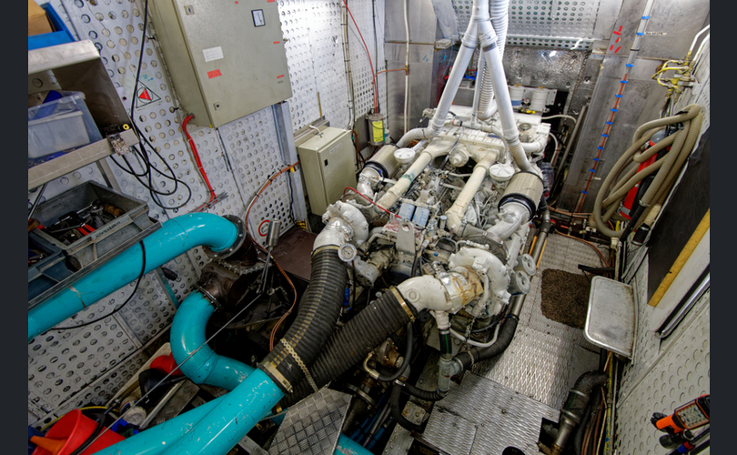 Rosetta Kantosiipialus-kuva-8